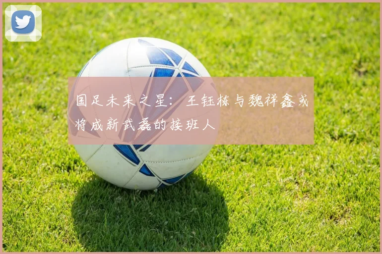 国足未来之星：王钰栋与魏祥鑫或将成新武磊的接班人