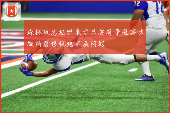 森林狼总经理表示只要有争冠实力缴纳奢侈税绝不成问题